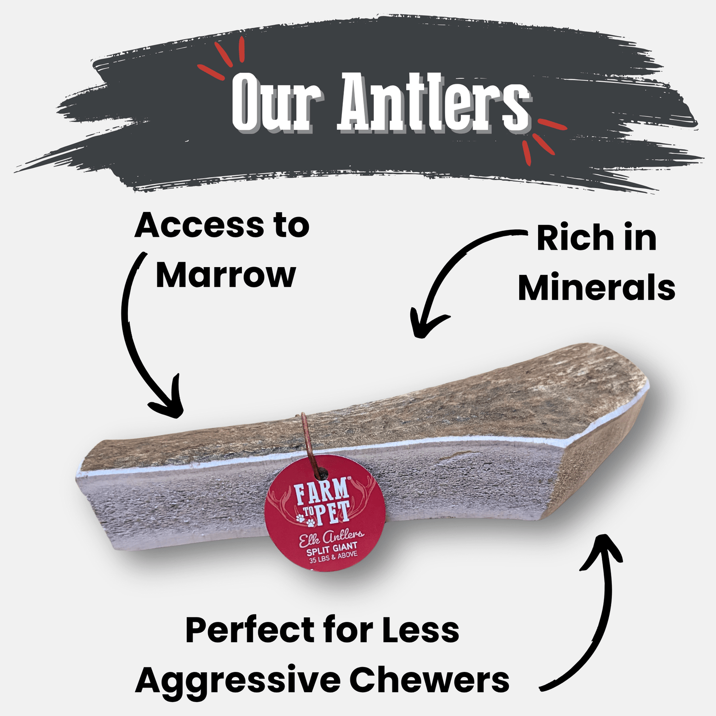 Elk Antler Dog Chews – Whole & Split | Splinter-Resistant, Non-Allergenic | Wild-Harvested Wyoming