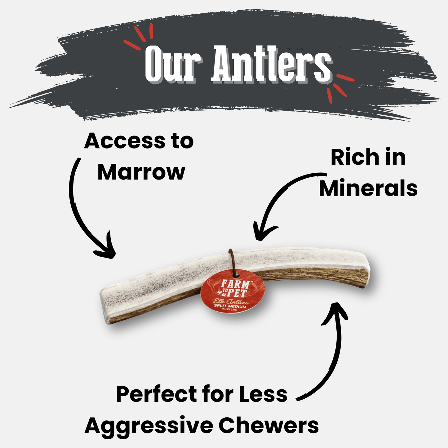 Elk Antler Dog Chews – Whole & Split | Splinter-Resistant, Non-Allergenic | Wild-Harvested Wyoming