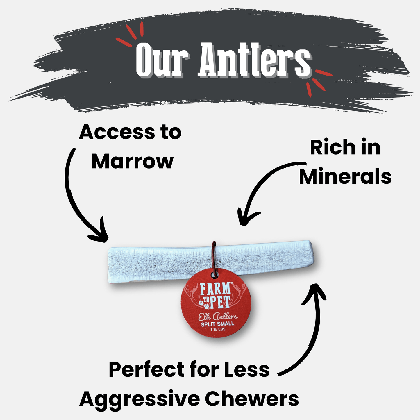 Elk Antler Dog Chews – Whole & Split | Splinter-Resistant, Non-Allergenic | Wild-Harvested Wyoming
