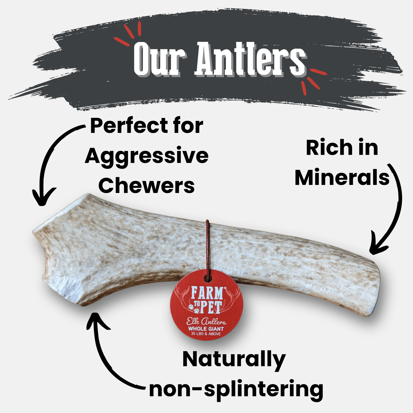 Elk Antler Dog Chews – Whole & Split | Splinter-Resistant, Non-Allergenic | Wild-Harvested Wyoming