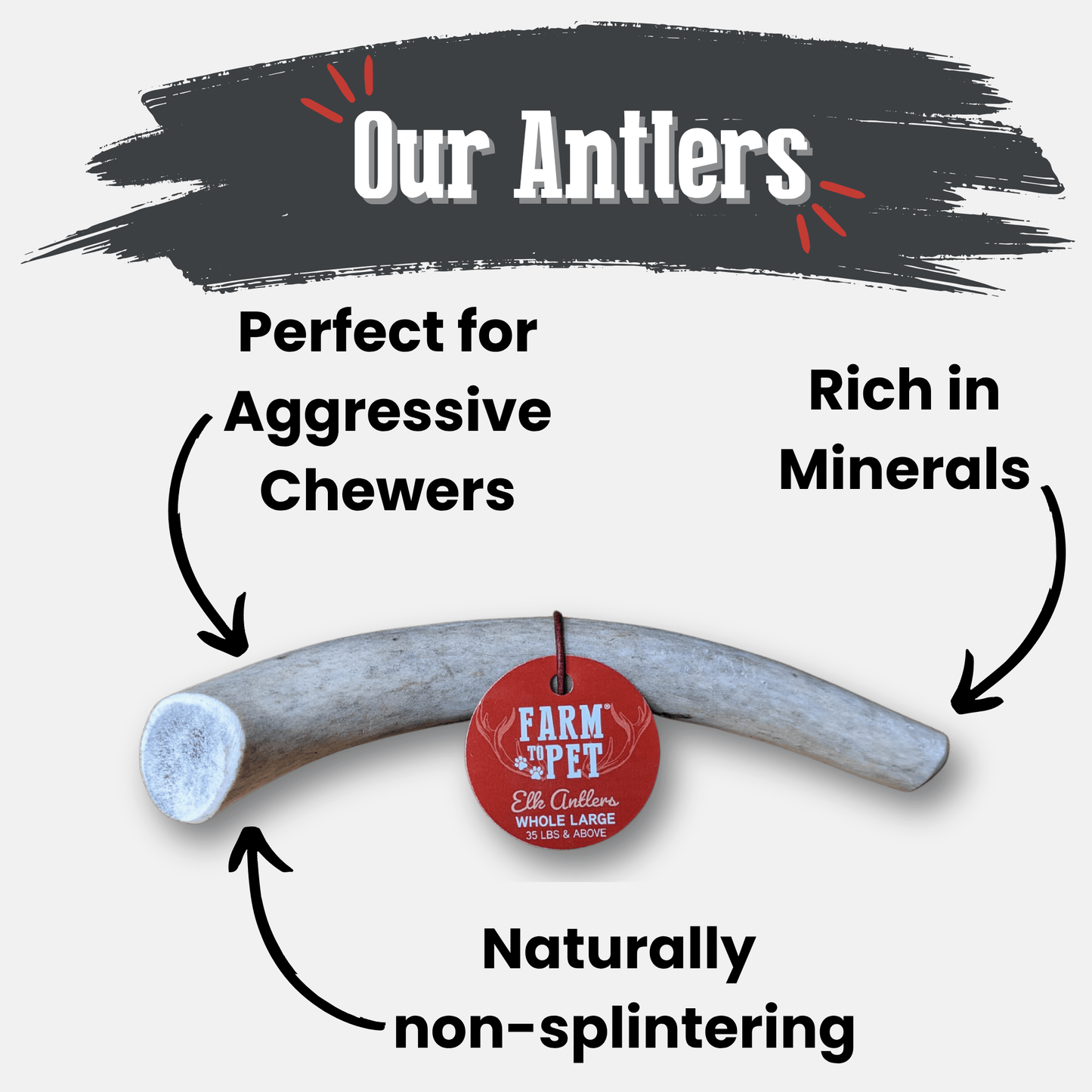 Elk Antler Dog Chews – Whole & Split | Splinter-Resistant, Non-Allergenic | Wild-Harvested Wyoming