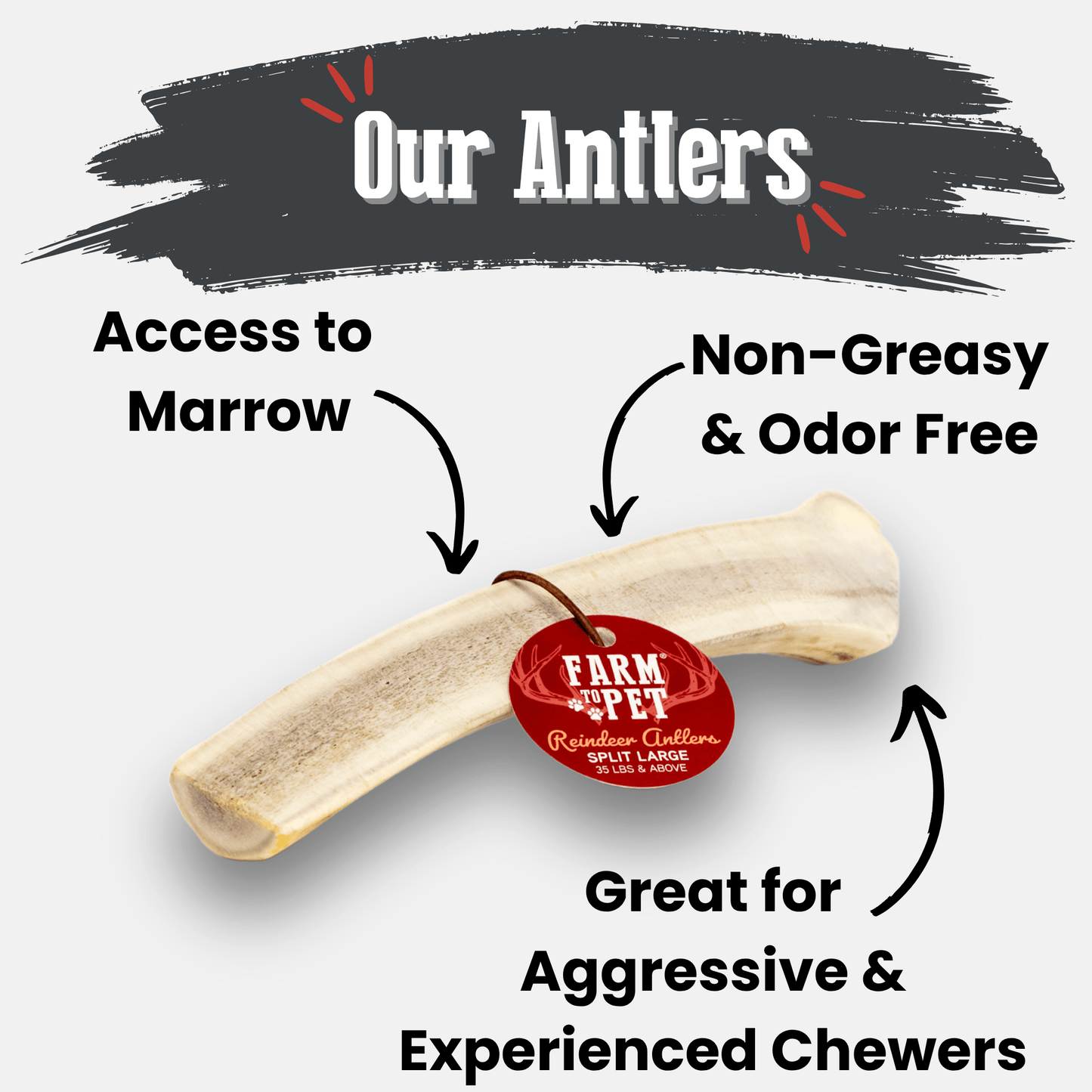 Reindeer Antler Dog Chews – Toughest Organic Chew | Whole & Split | Wild-Gathered Alaska