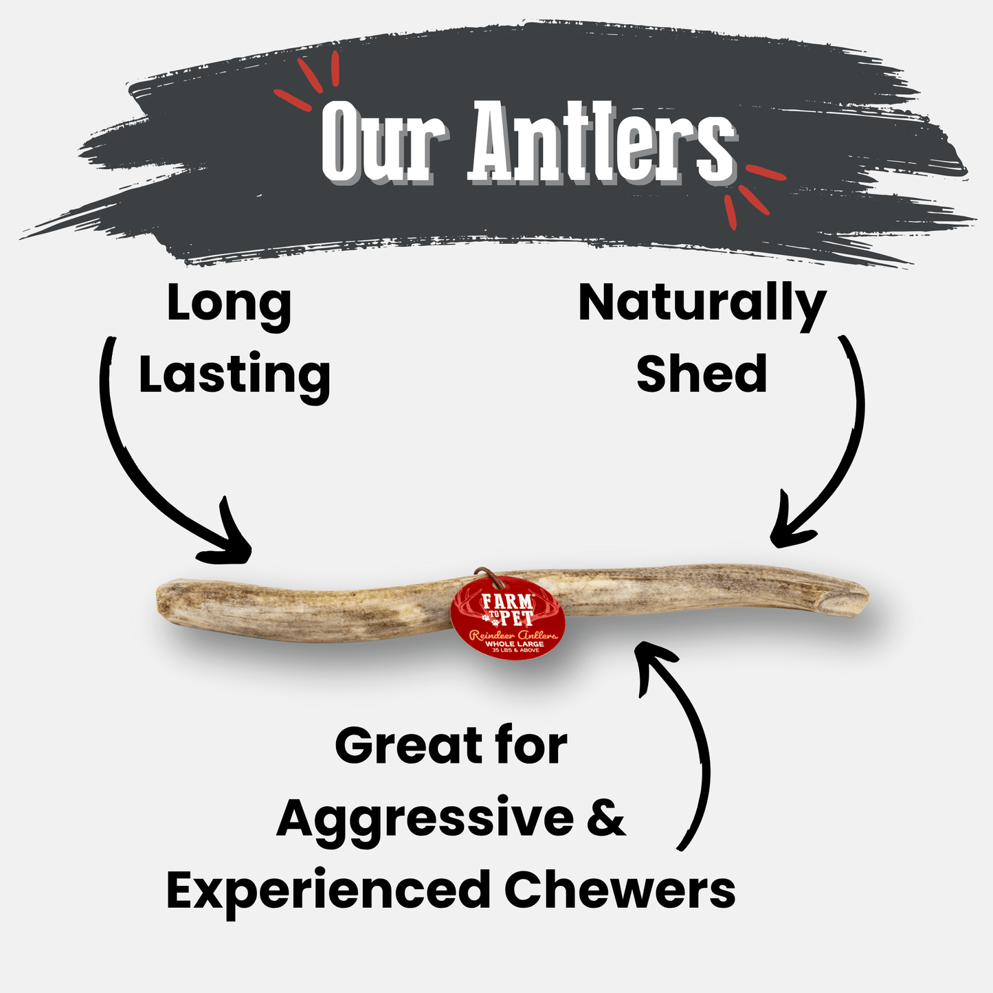 Reindeer Antler Dog Chews – Toughest Organic Chew | Whole & Split | Wild-Gathered Alaska