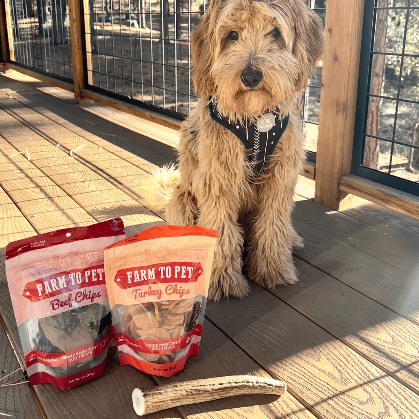 Reindeer Antler Dog Chews – Toughest Organic Chew | Whole & Split | Wild-Gathered Alaska