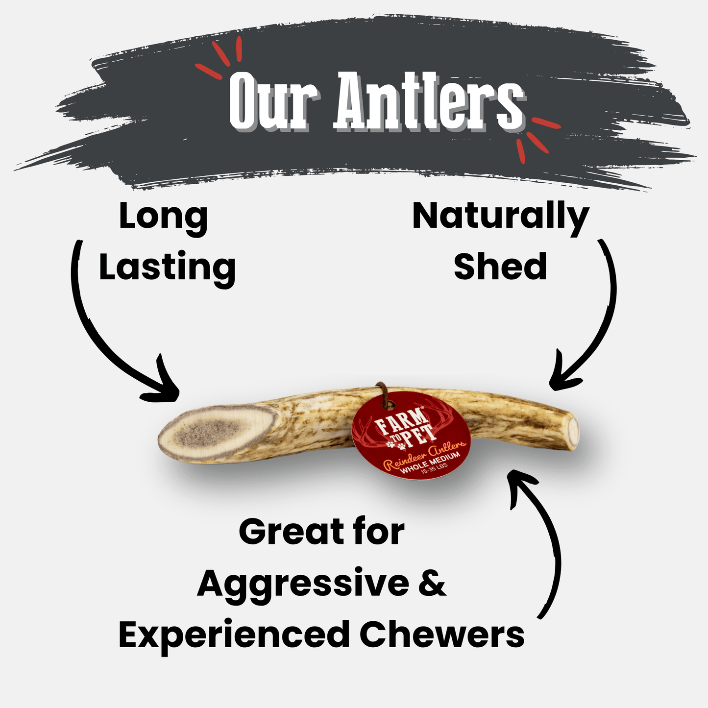 Reindeer Antler Dog Chews – Toughest Organic Chew | Whole & Split | Wild-Gathered Alaska
