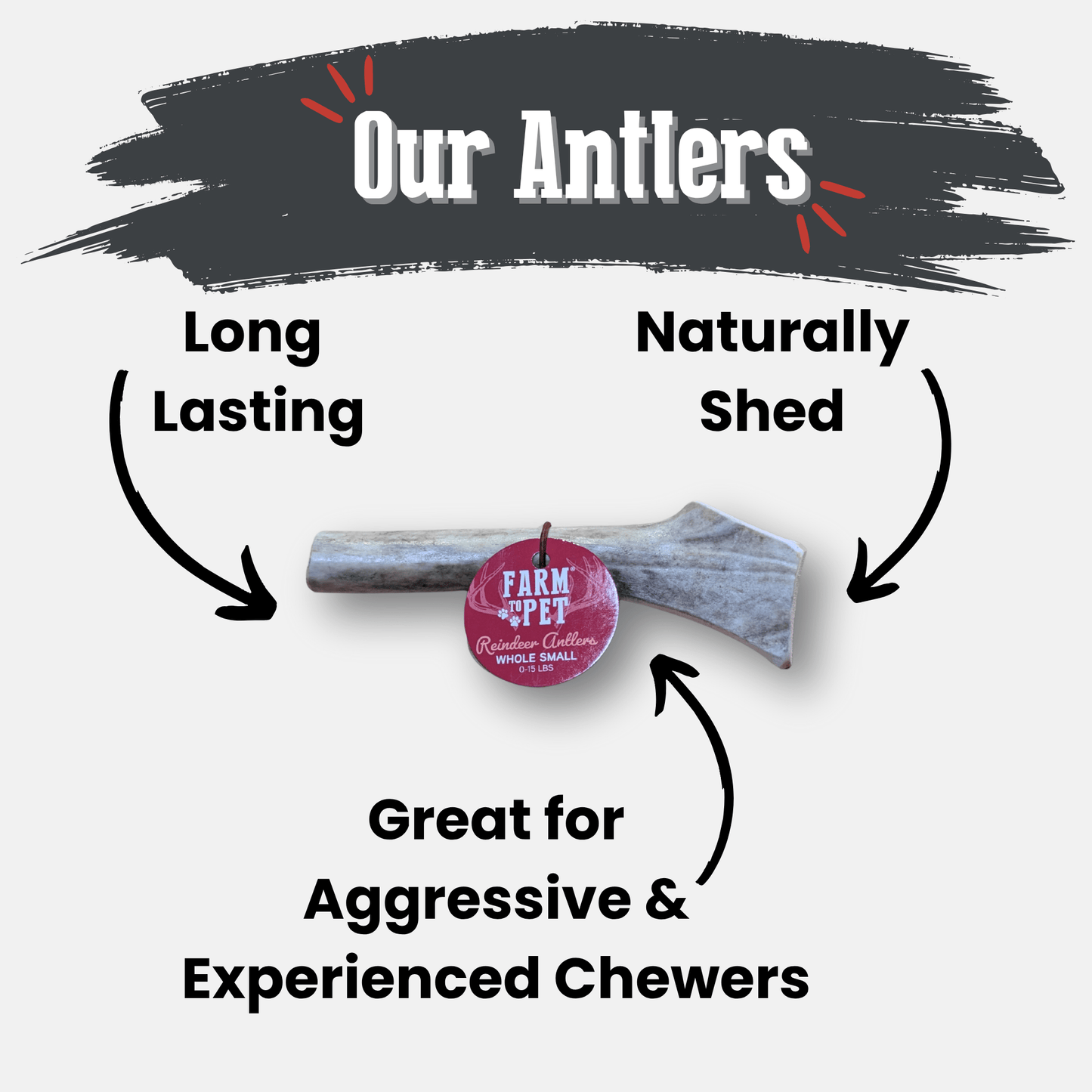 Reindeer Antler Dog Chews – Toughest Organic Chew | Whole & Split | Wild-Gathered Alaska
