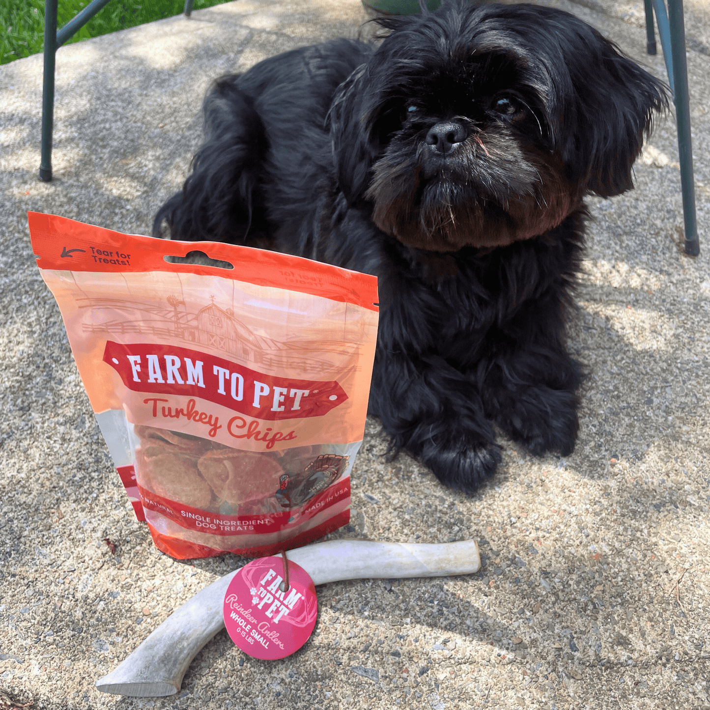 Reindeer Antler Dog Chews – Toughest Organic Chew | Whole & Split | Wild-Gathered Alaska