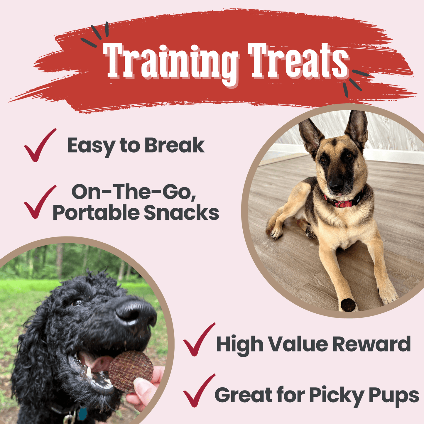 Beef Chips for Dogs – Single-Ingredient, Human-Grade | 6 Cal/Chip | Made in USA