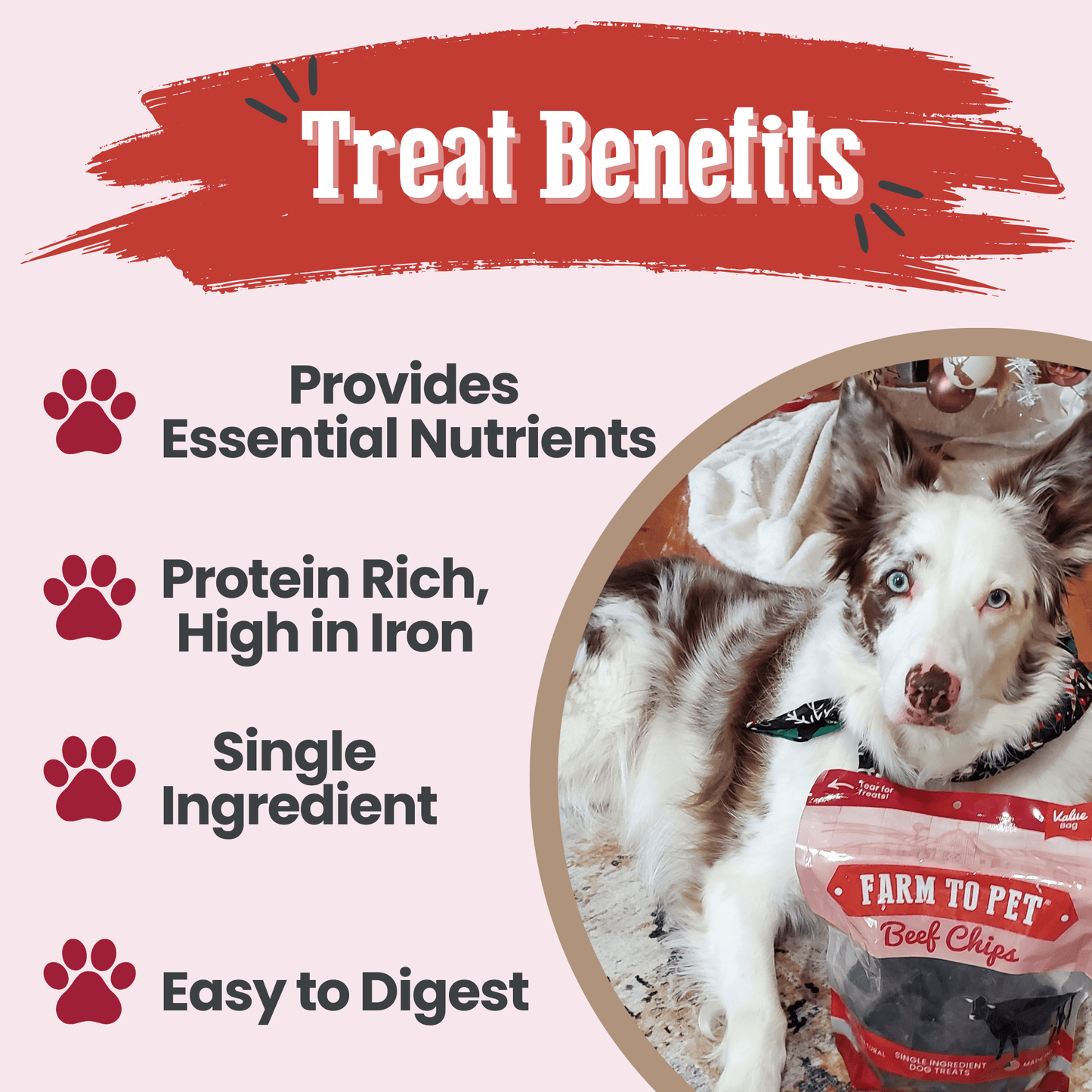 Beef Chips for Dogs – Single-Ingredient, Human-Grade | 6 Cal/Chip | Made in USA