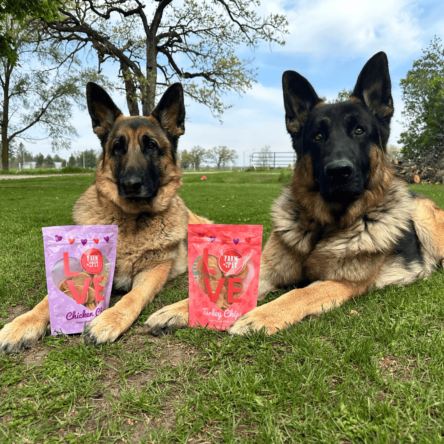 Puppy Love Dog Treat Duo – Chicken & Turkey Chips Value Pack | Single-Ingredient | Made in USA
