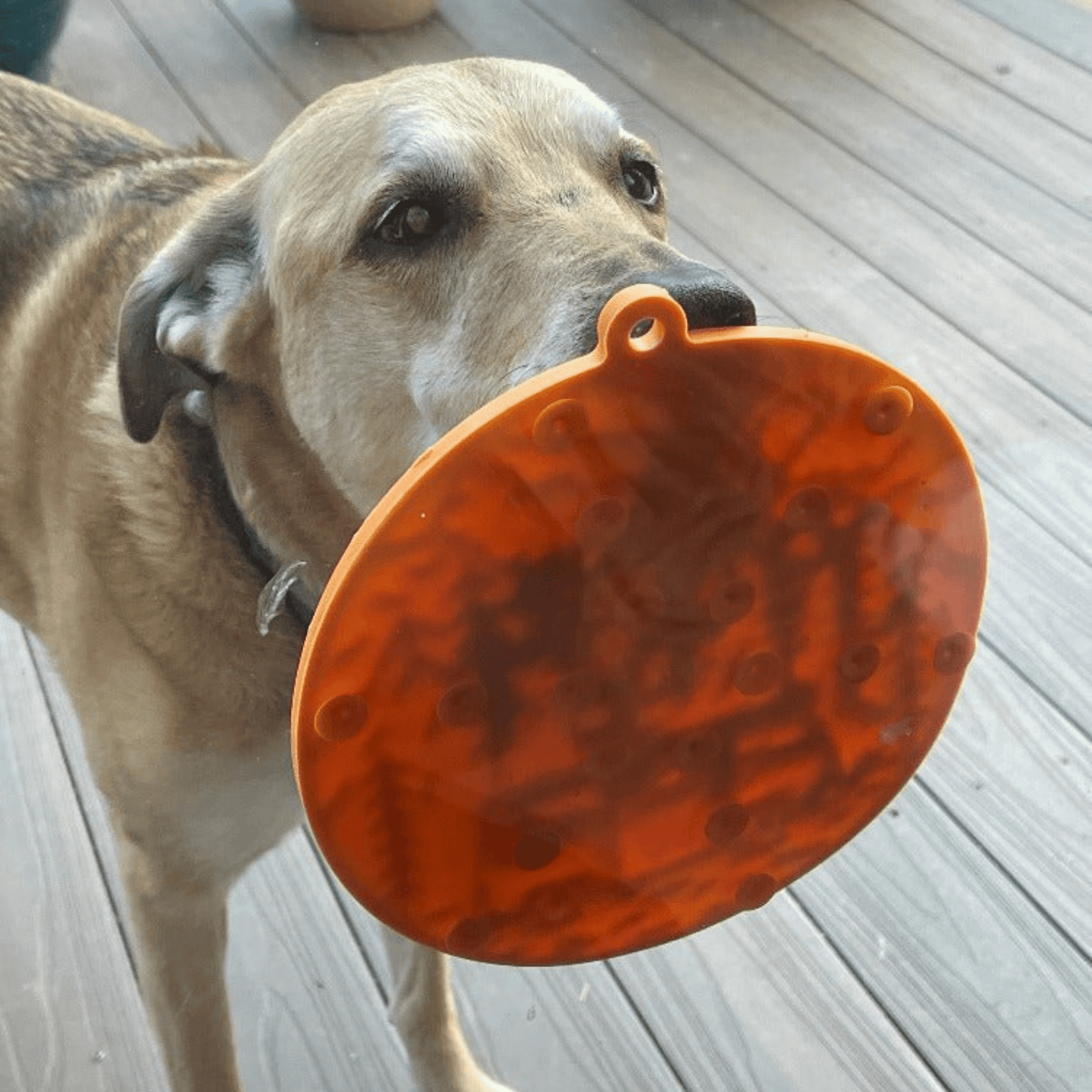 Dog Lick Mat with Suction Cups – Calming Enrichment Mat | BPA-Free | Made in USA