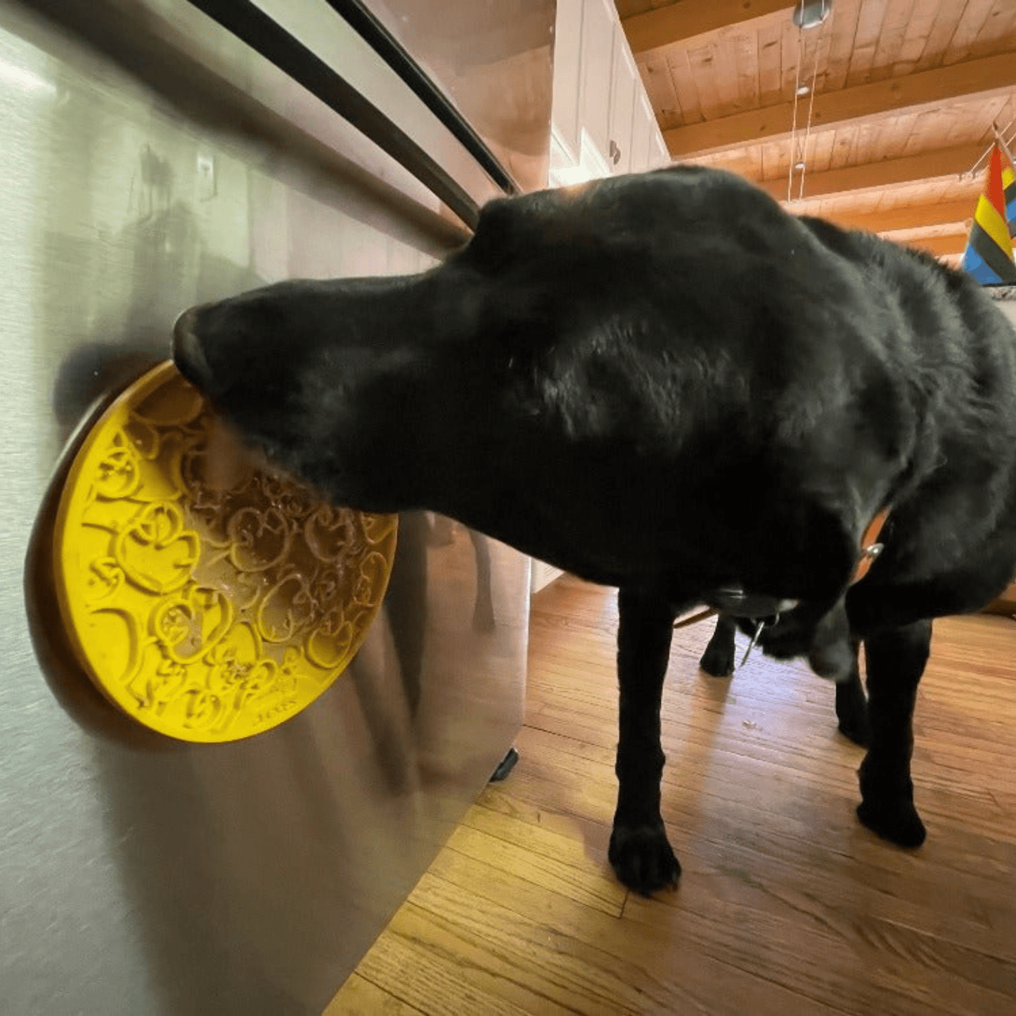 Dog Lick Mat with Suction Cups – Calming Enrichment Mat | BPA-Free | Made in USA