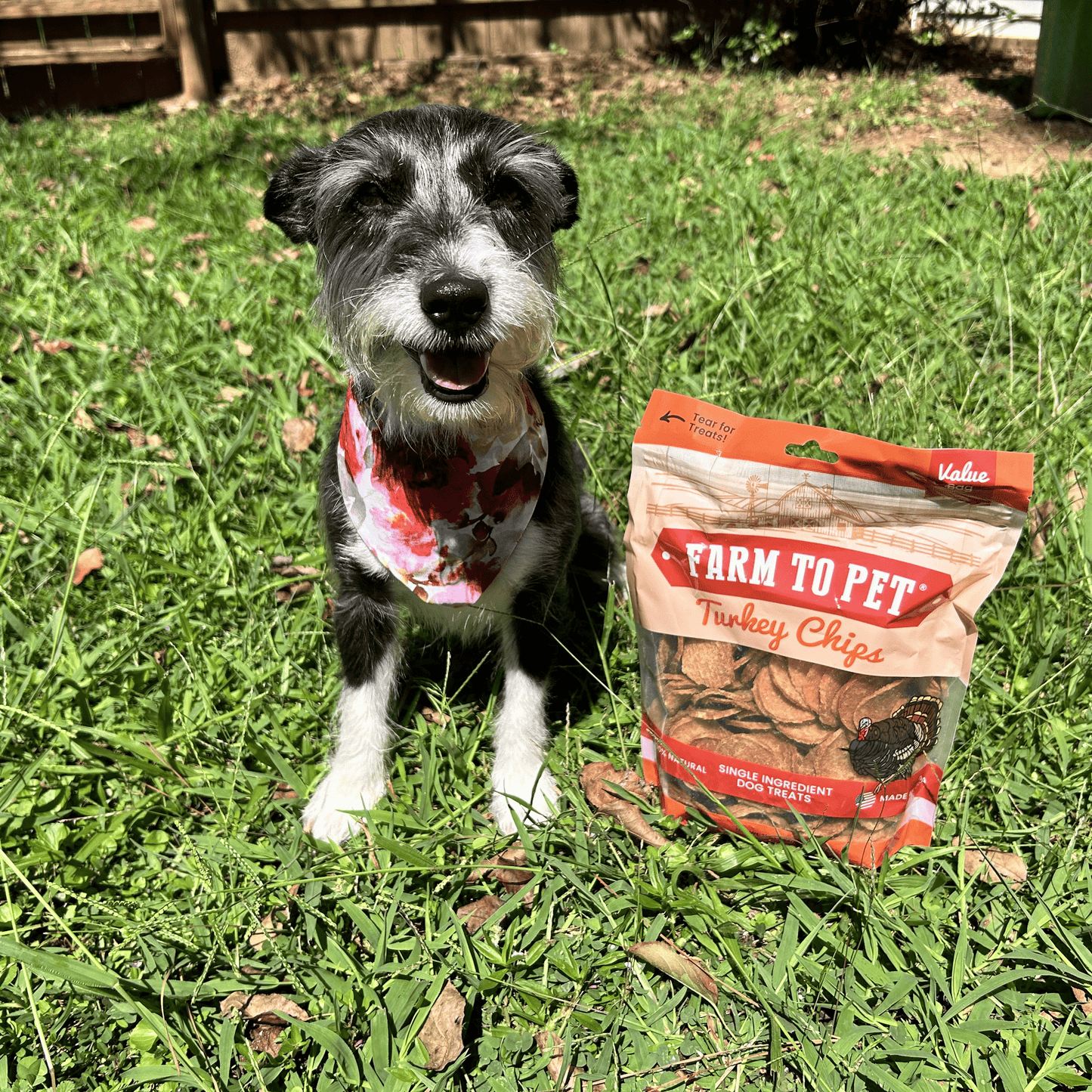 Turkey Chips for Dogs – Single-Ingredient, 85% Protein | Human-Grade | Made in USA