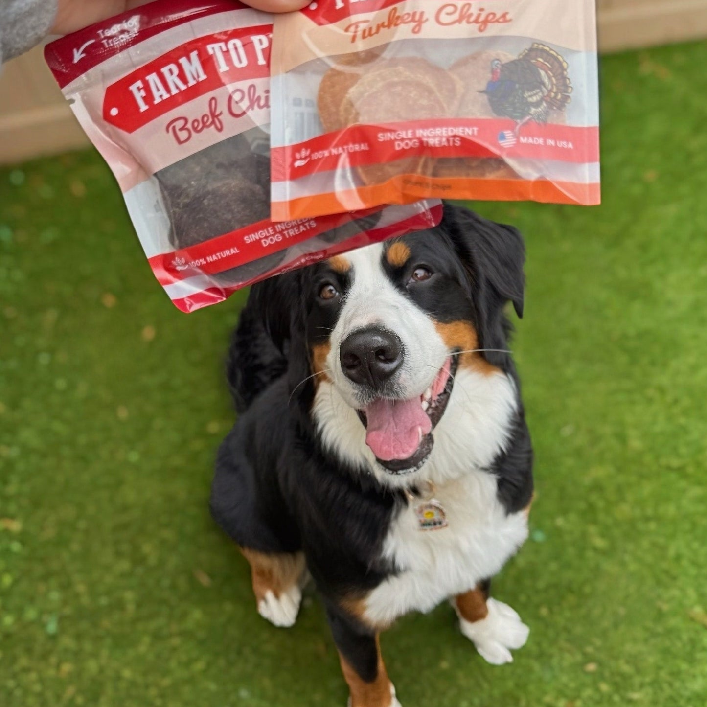 Puppy Packs – Dog Treat Starter Bundle | All 4 Flavors | Single-Ingredient | Made in USA
