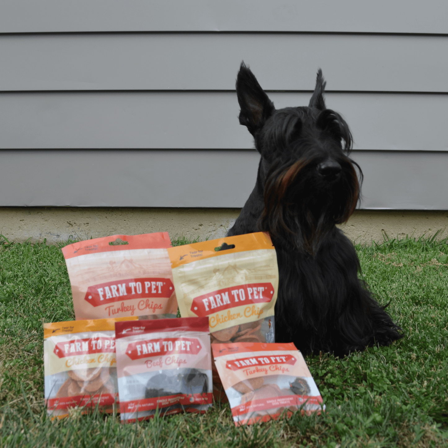 Puppy Packs – Dog Treat Starter Bundle | All 4 Flavors | Single-Ingredient | Made in USA