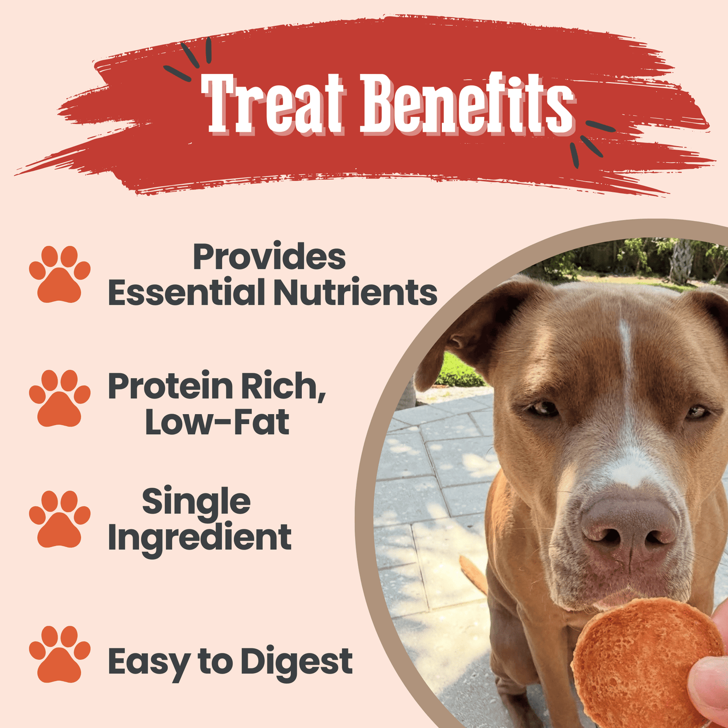 Turkey Chips for Dogs – Single-Ingredient, 85% Protein | Human-Grade | Made in USA