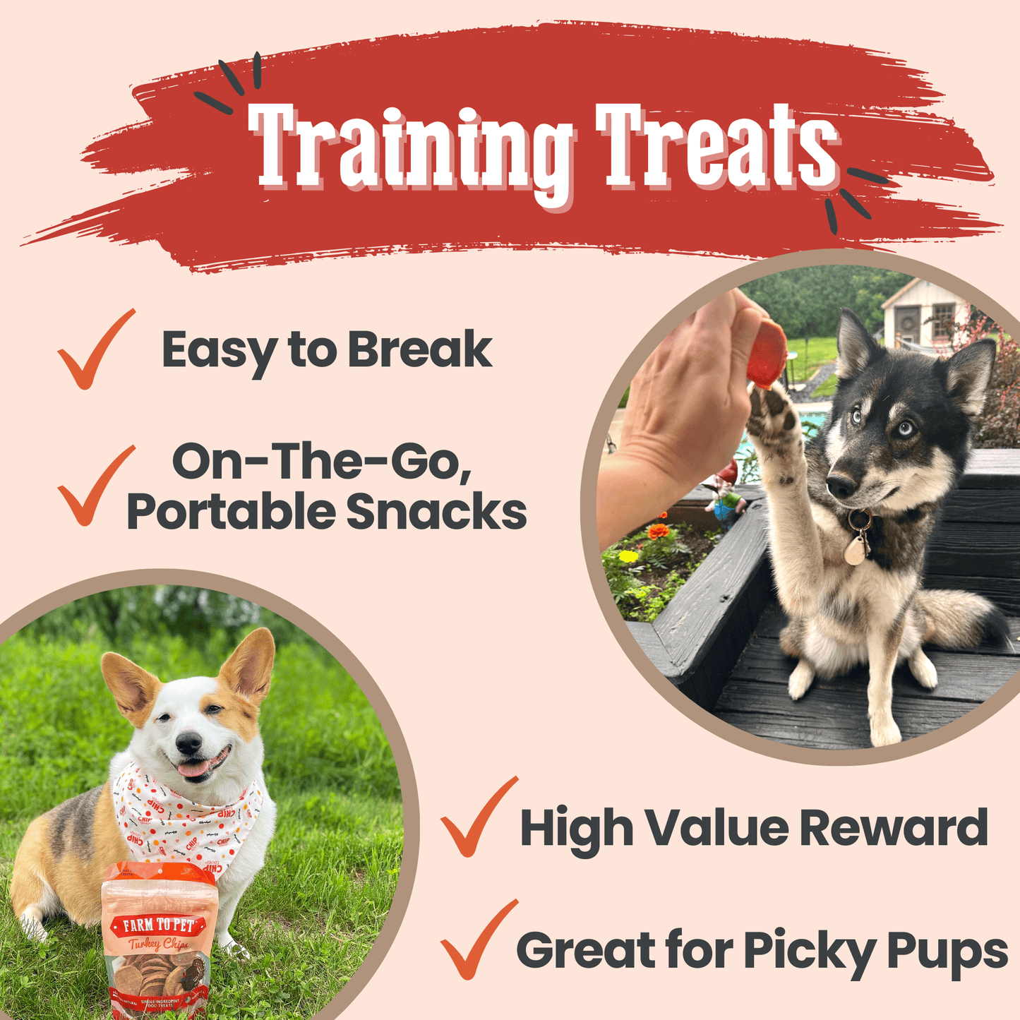 Turkey Chips for Dogs – Single-Ingredient, 85% Protein | Human-Grade | Made in USA