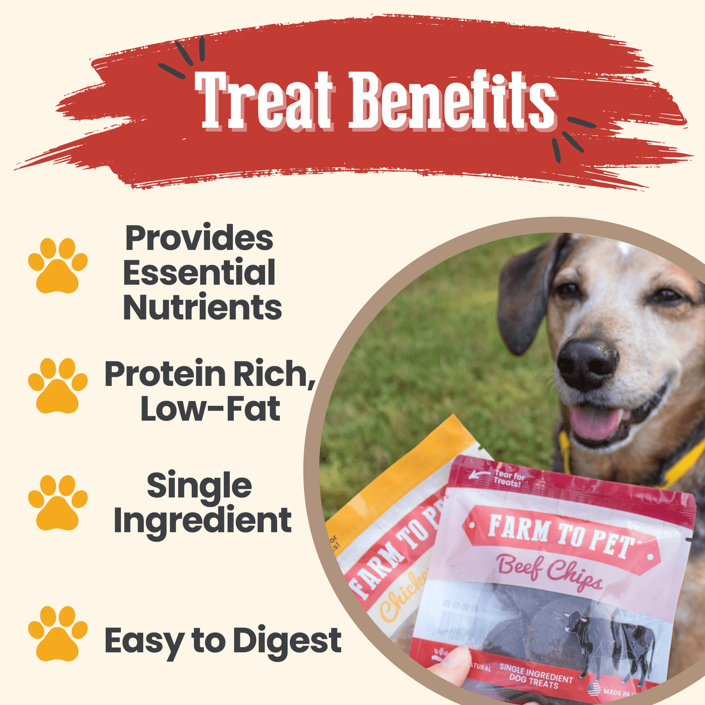 Puppy Packs – Dog Treat Starter Bundle | All 4 Flavors | Single-Ingredient | Made in USA