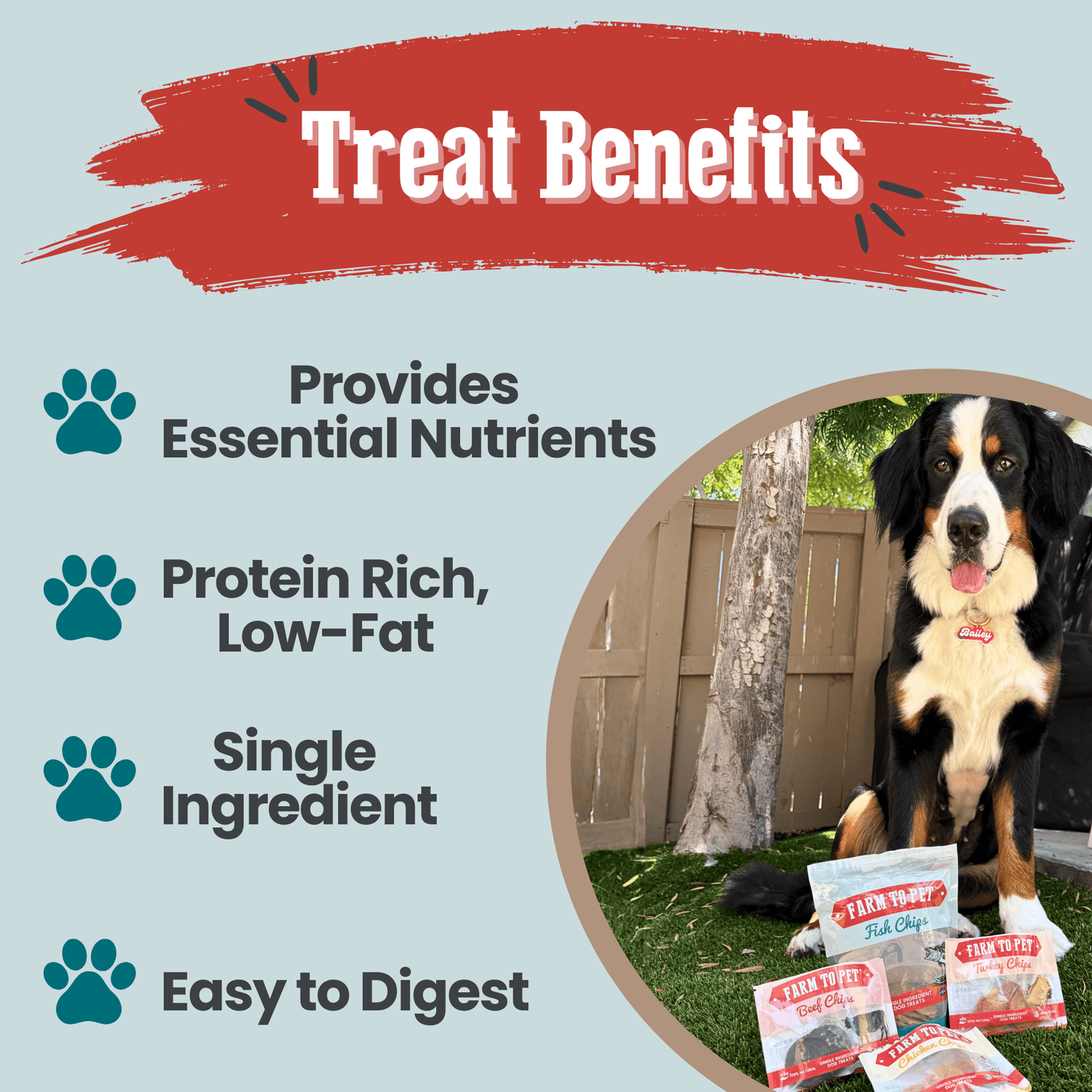 Puppy Packs – Dog Treat Starter Bundle | All 4 Flavors | Single-Ingredient | Made in USA