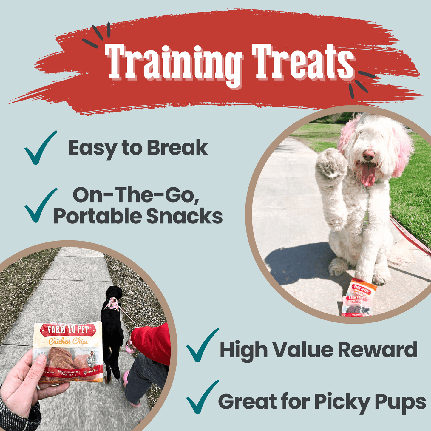 Puppy Packs – Dog Treat Starter Bundle | All 4 Flavors | Single-Ingredient | Made in USA