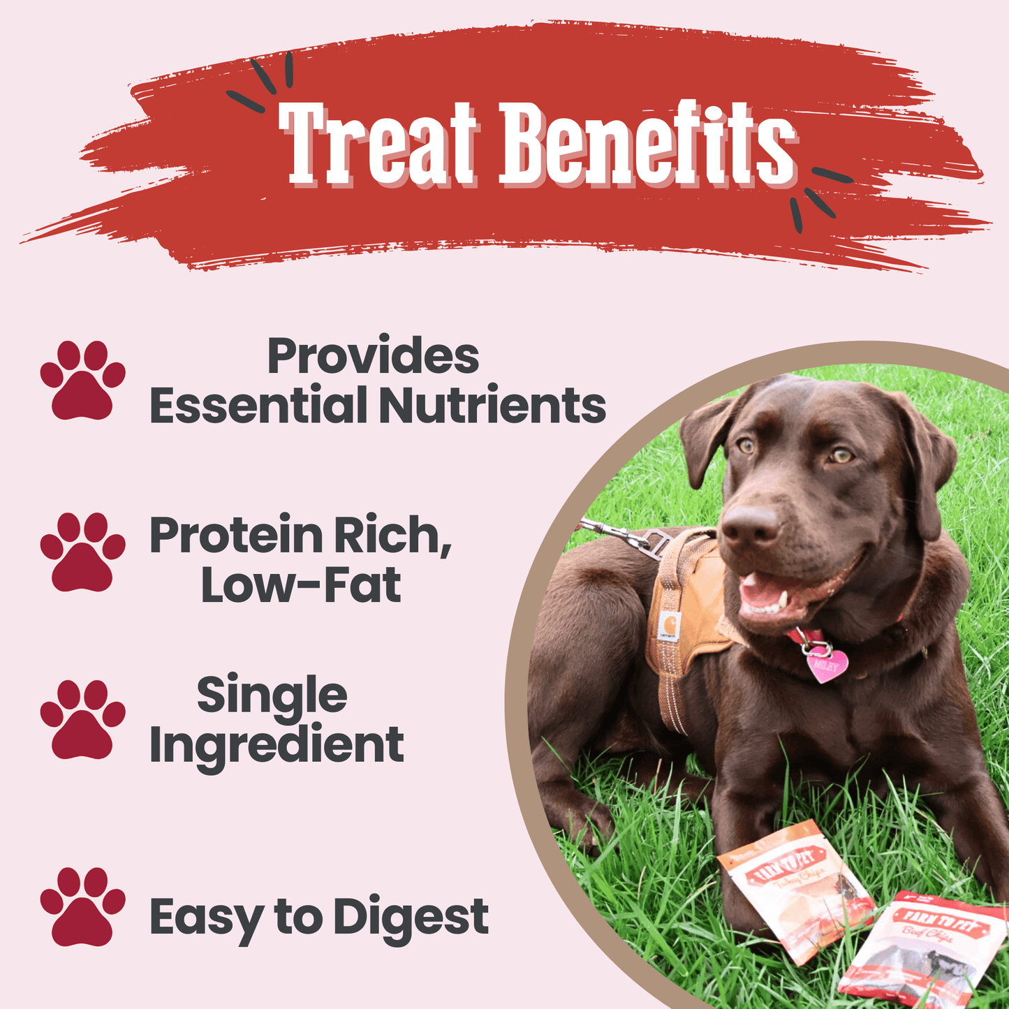 Puppy Packs – Dog Treat Starter Bundle | All 4 Flavors | Single-Ingredient | Made in USA