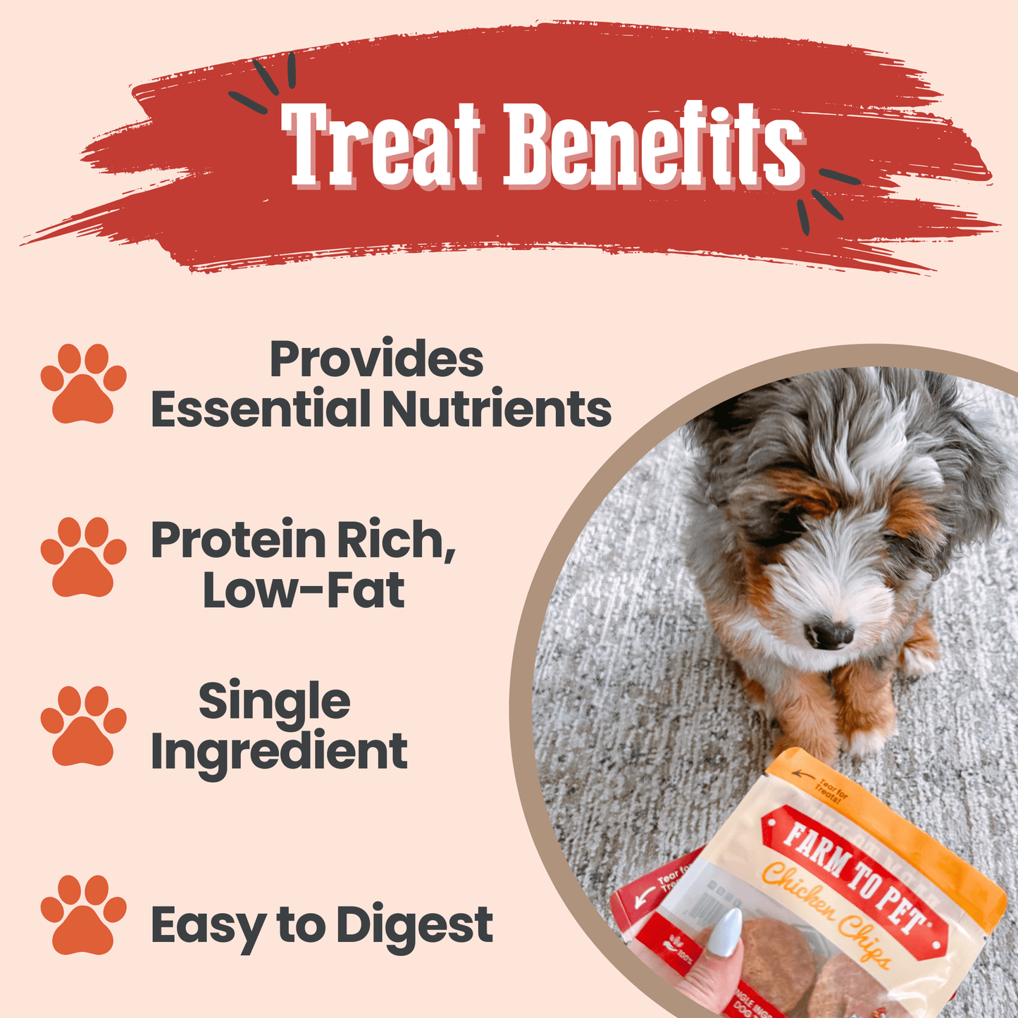 Puppy Packs – Dog Treat Starter Bundle | All 4 Flavors | Single-Ingredient | Made in USA