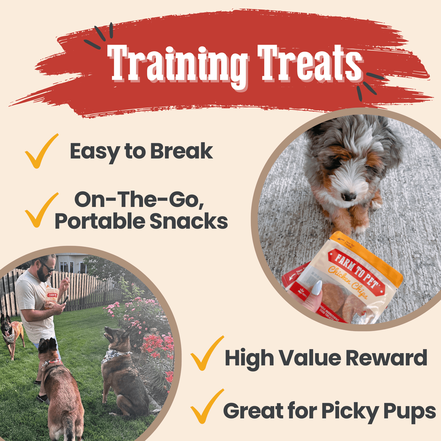 Dog Treat Sampler Snack Packs – All 4 Flavors | Chicken, Turkey, Beef & Fish | Made in USA