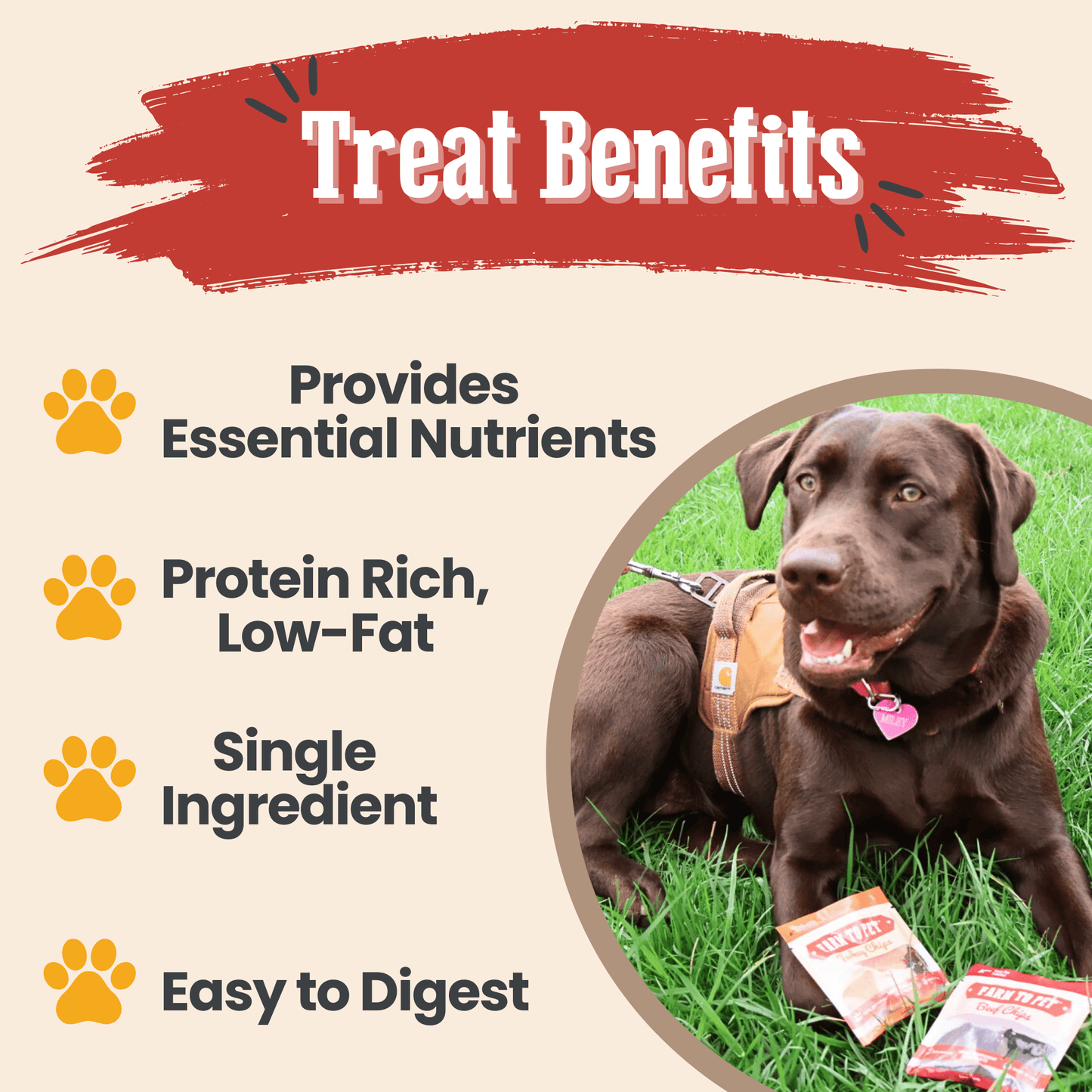 Dog Treat Sampler Snack Packs – All 4 Flavors | Chicken, Turkey, Beef & Fish | Made in USA