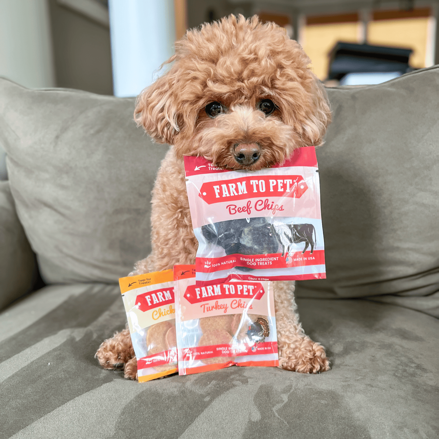 Dog Treat Sampler Snack Packs – All 4 Flavors | Chicken, Turkey, Beef & Fish | Made in USA