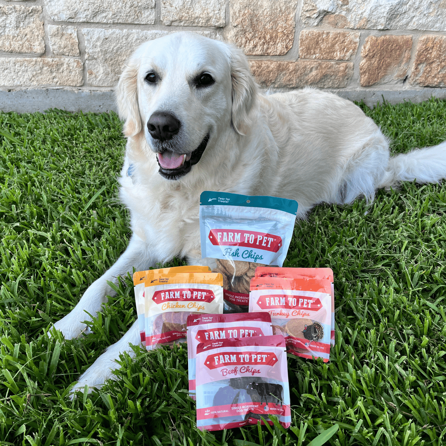 Puppy Packs – Dog Treat Starter Bundle | All 4 Flavors | Single-Ingredient | Made in USA