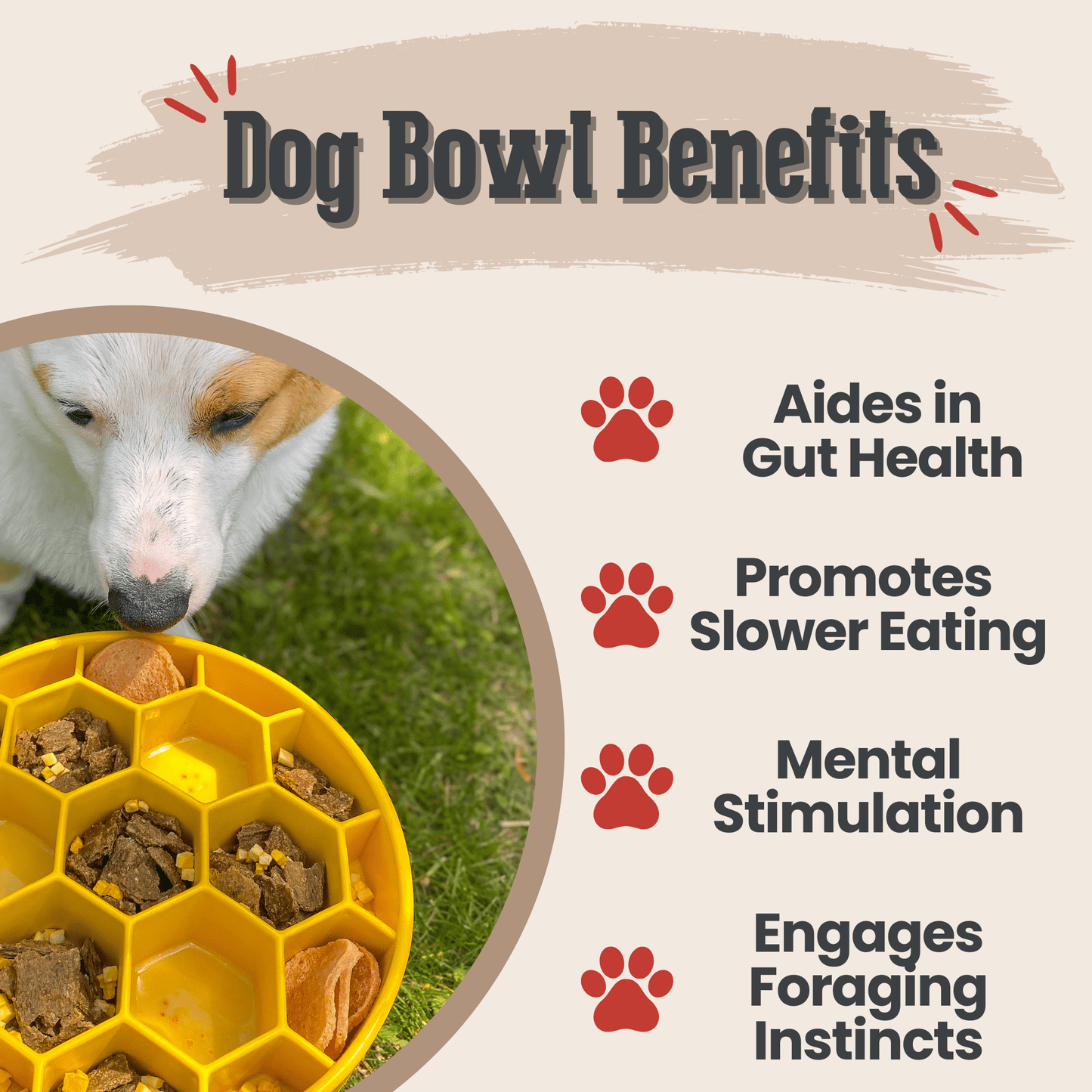 SodaPup Slow Feeder Dog Bowls – Reduces Bloat & Choking | Dishwasher Safe | Made in USA | 4 Styles
