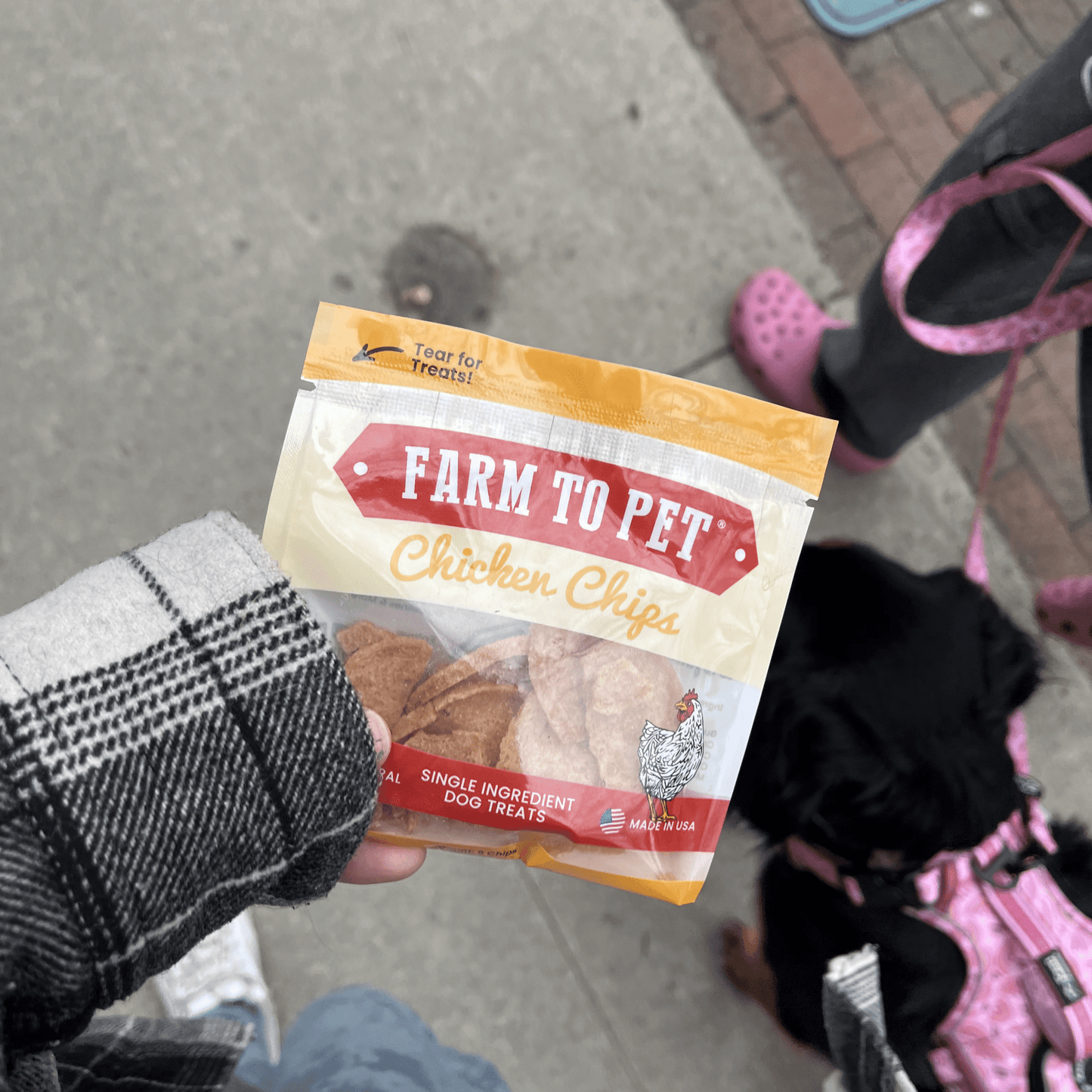 Chicken Chips Snack Packs – Single-Ingredient, 80% Protein | Training Treats | Made in USA