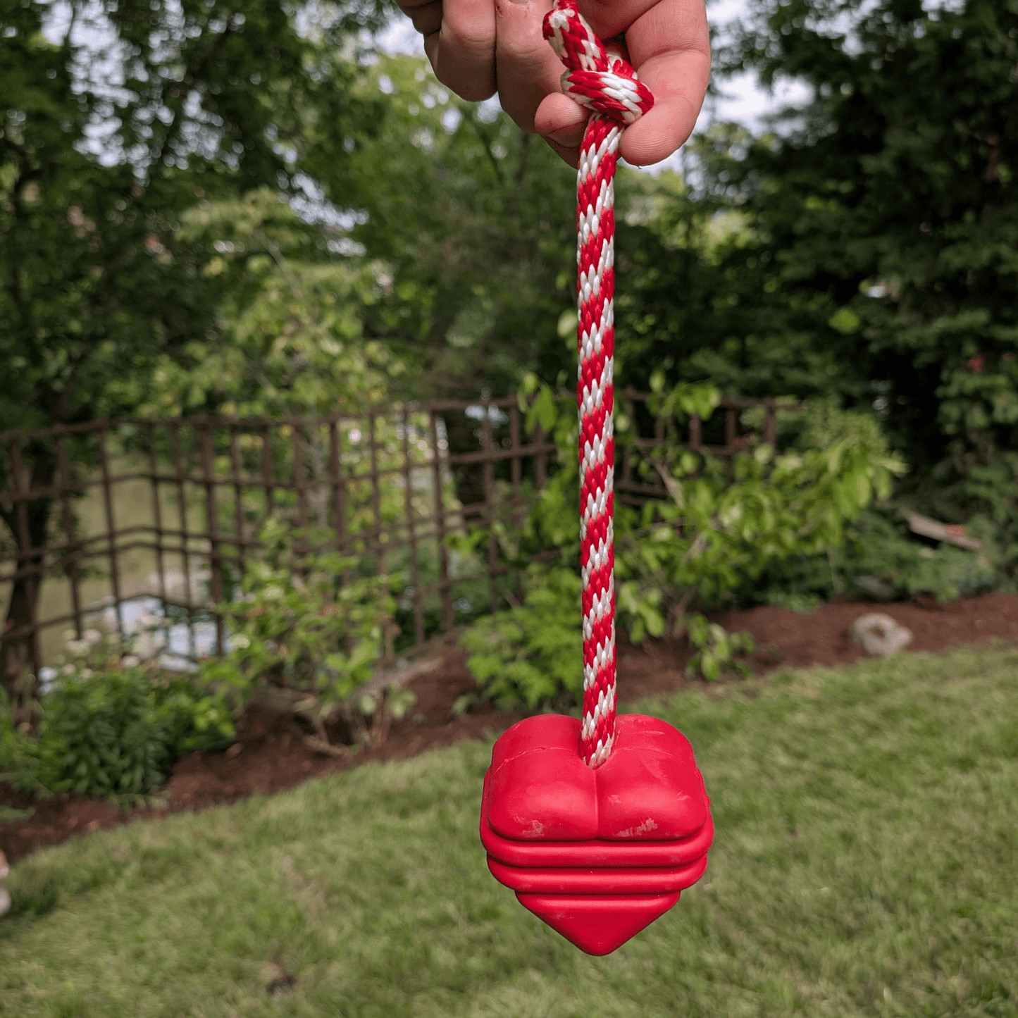 SodaPup Dog Tug & Chew Toys – Durable, Non-Toxic | Made in USA | 3 Styles