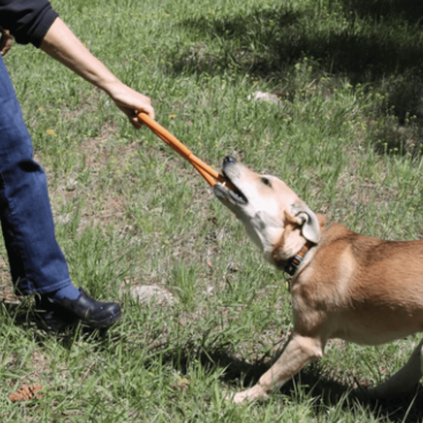SodaPup Dog Tug & Chew Toys – Durable, Non-Toxic | Made in USA | 3 Styles