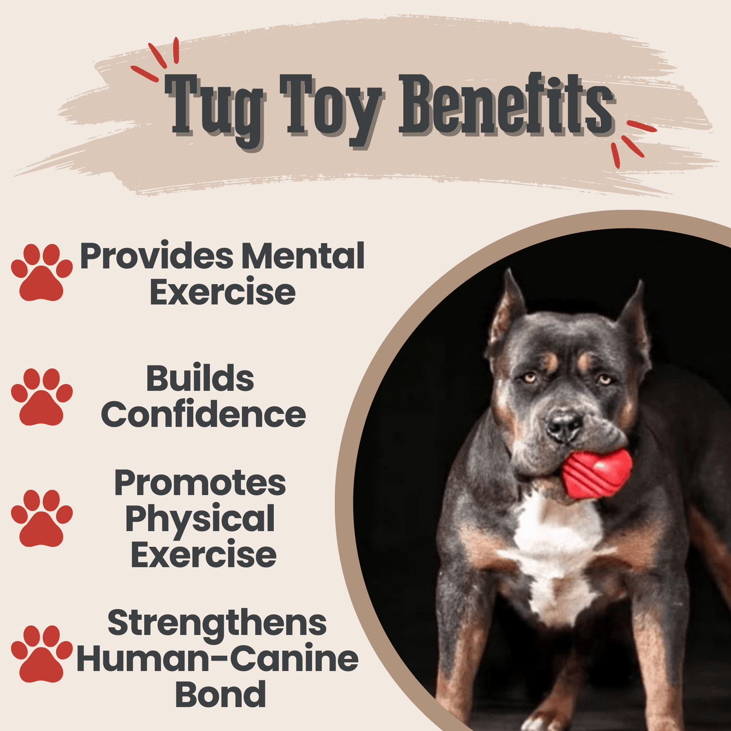 SodaPup Dog Tug & Chew Toys – Durable, Non-Toxic | Made in USA | 3 Styles