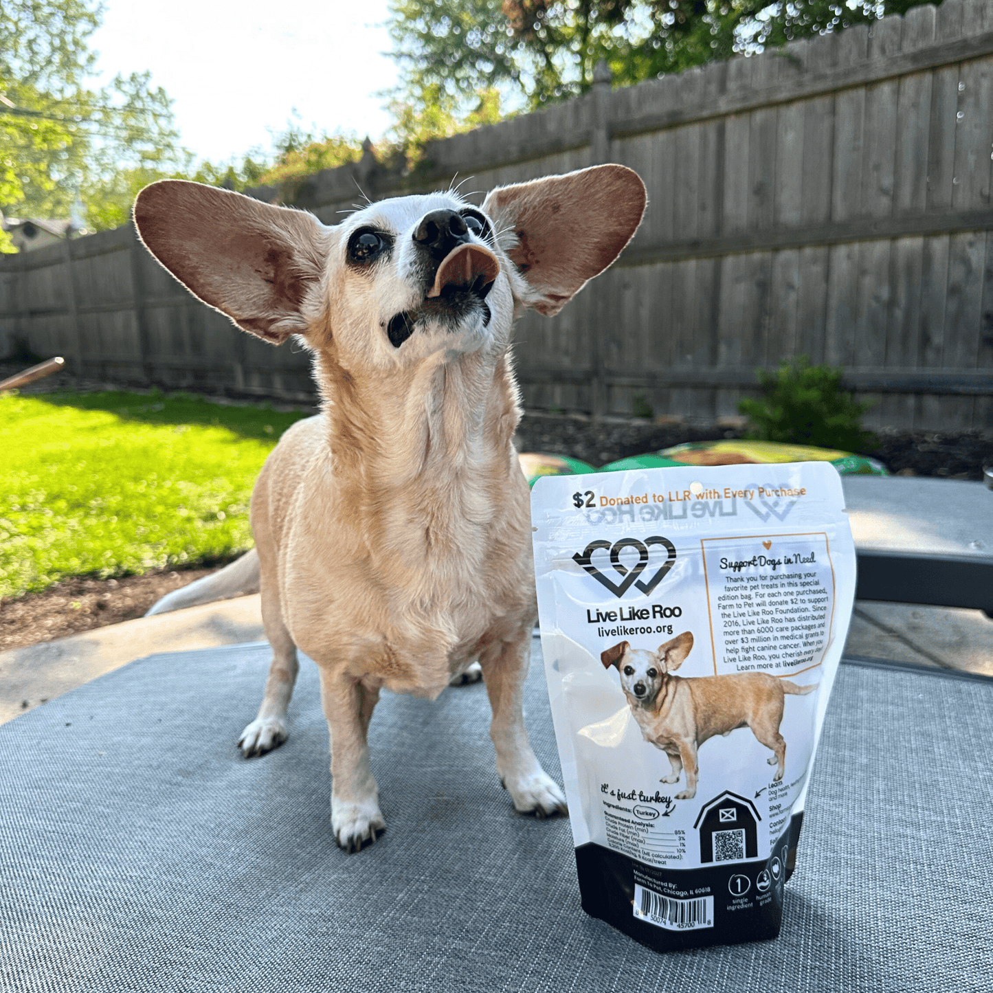 Live Like Roo Turkey Chips – Single-Ingredient Dog Treats That Give Back | $2 Donated Per Bag