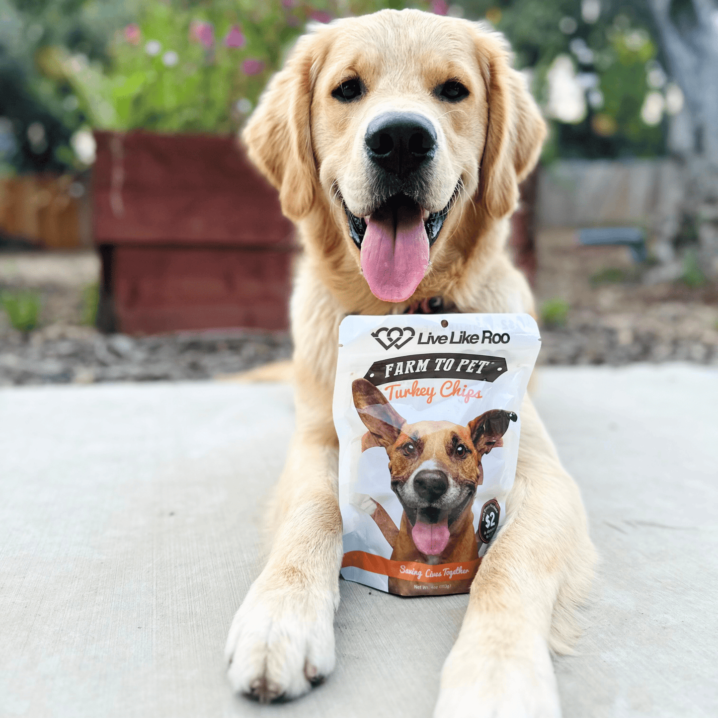 Live Like Roo Turkey Chips – Single-Ingredient Dog Treats That Give Back | $2 Donated Per Bag