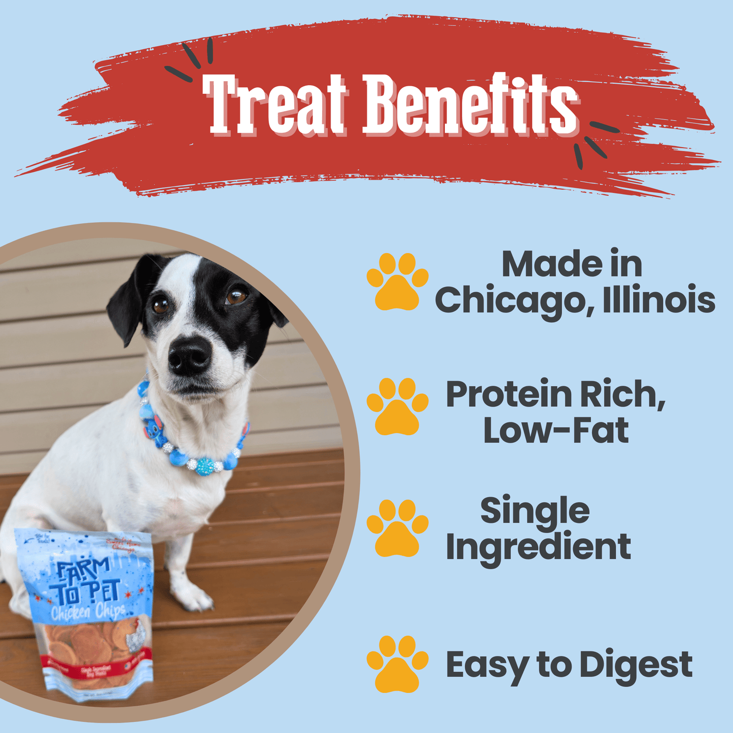 Chicago Chicken Chips for Dogs – Special Edition | Single-Ingredient, 80% Protein | Made in USA