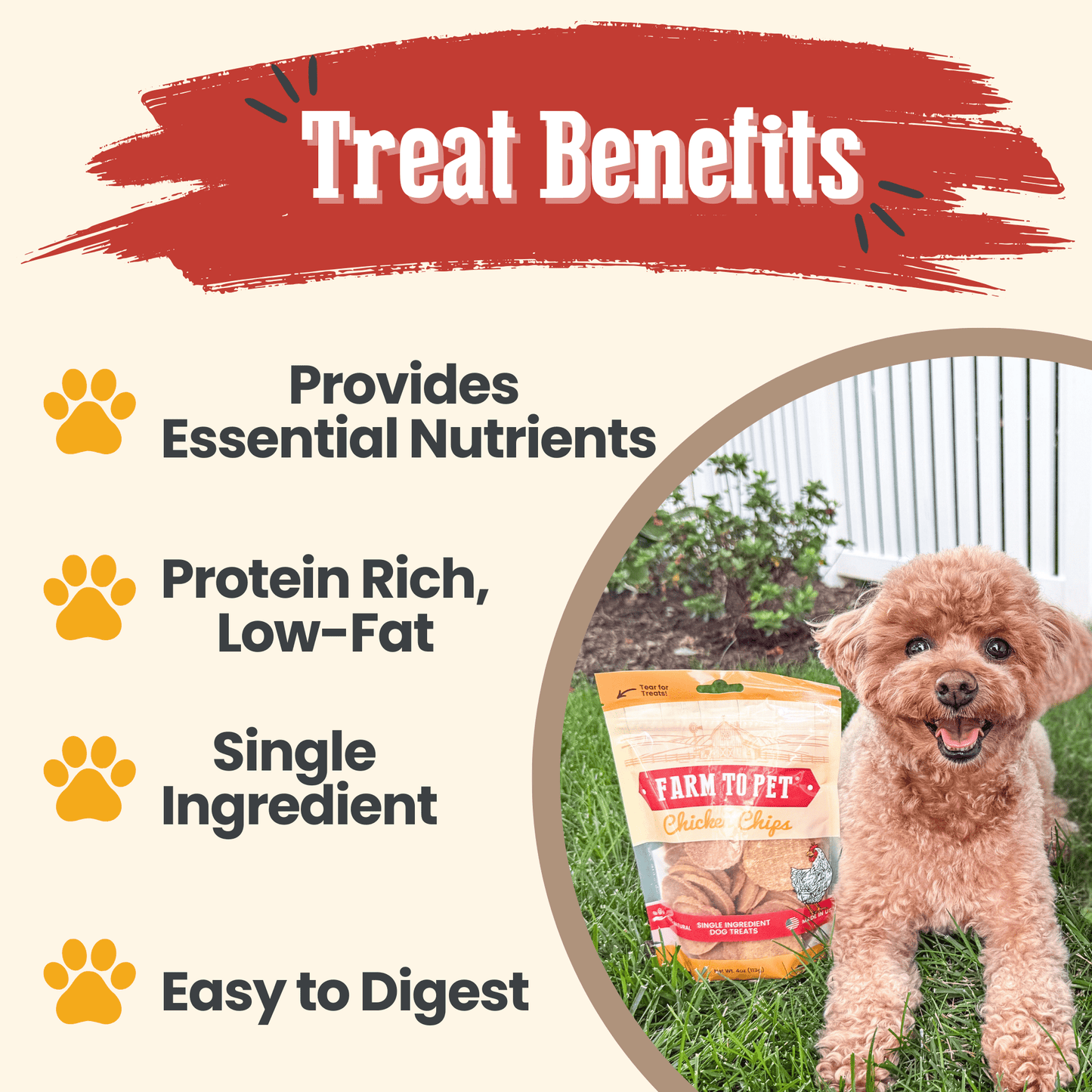 Chicken Chips for Dogs – Single-Ingredient, 80% Protein | Human-Grade | Made in USA