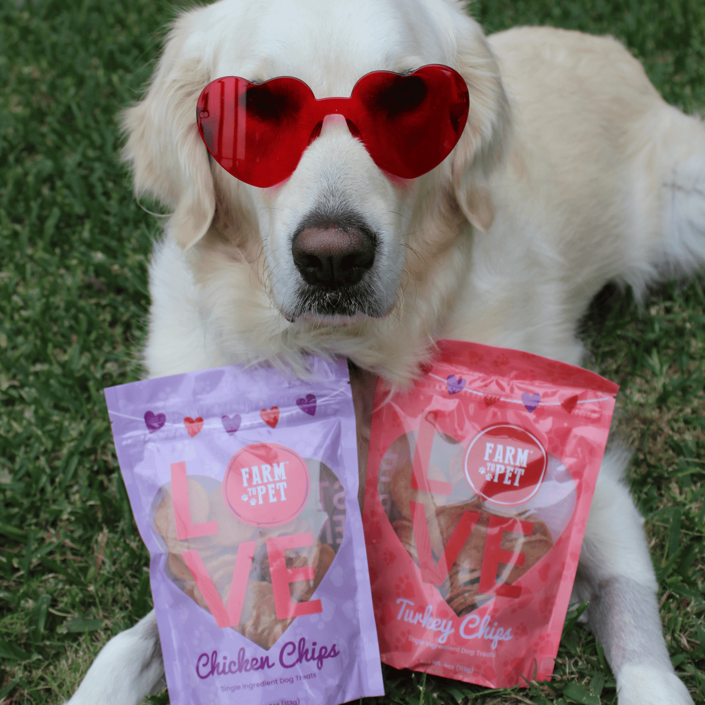 Puppy Love Dog Treat Duo – Chicken & Turkey Chips Value Pack | Single-Ingredient | Made in USA