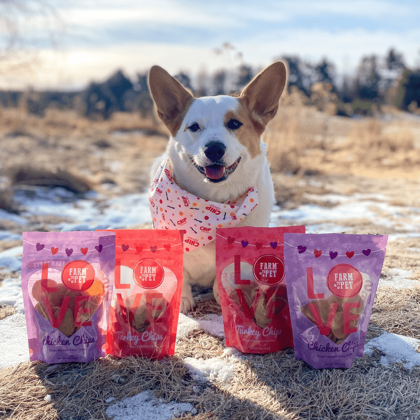 Puppy Love Dog Treat Duo – Chicken & Turkey Chips Value Pack | Single-Ingredient | Made in USA