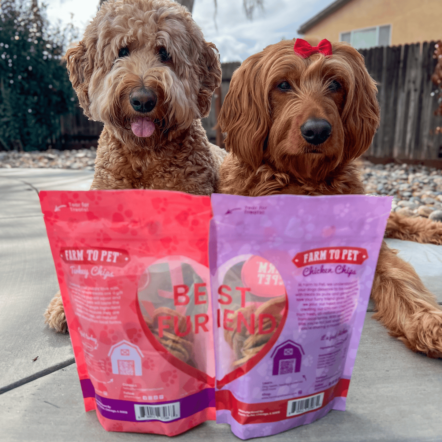 Puppy Love Dog Treat Duo – Chicken & Turkey Chips Value Pack | Single-Ingredient | Made in USA