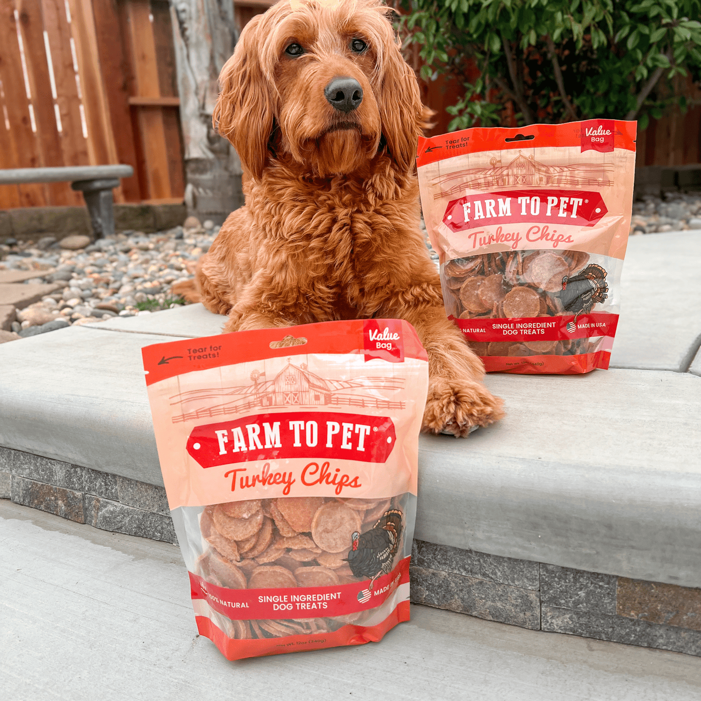 Turkey Chips for Dogs – Single-Ingredient, 85% Protein | Human-Grade | Made in USA
