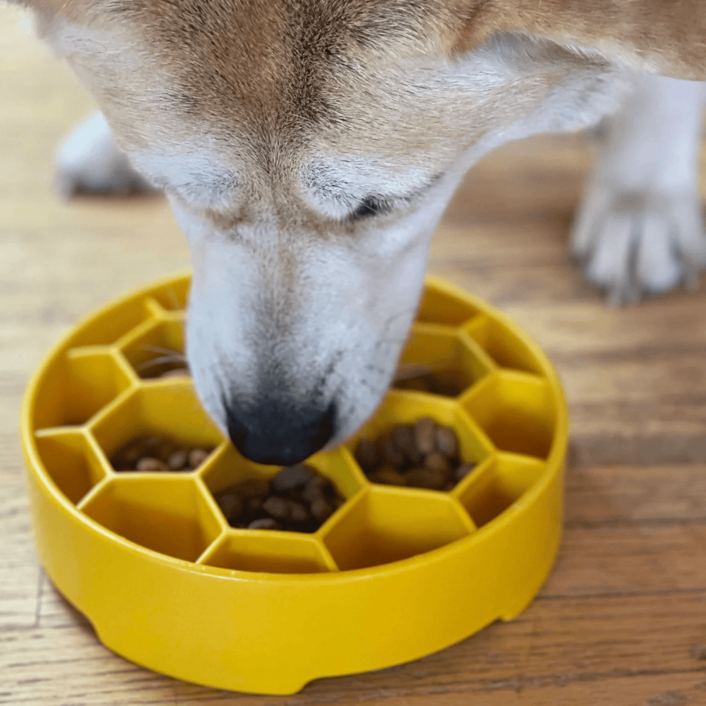 SodaPup Slow Feeder Dog Bowls – Reduces Bloat & Choking | Dishwasher Safe | Made in USA | 4 Styles