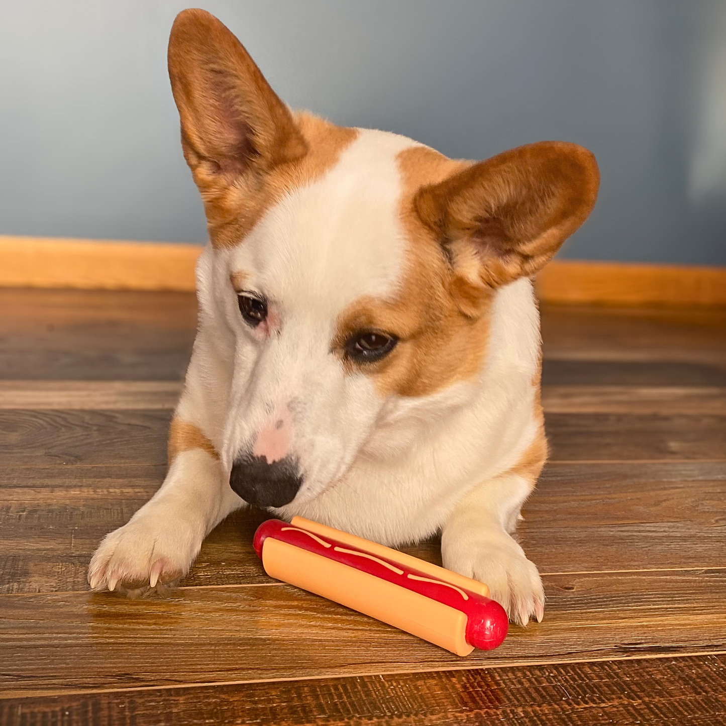 SodaPup Dog Tug & Chew Toys – Durable, Non-Toxic | Made in USA | 3 Styles