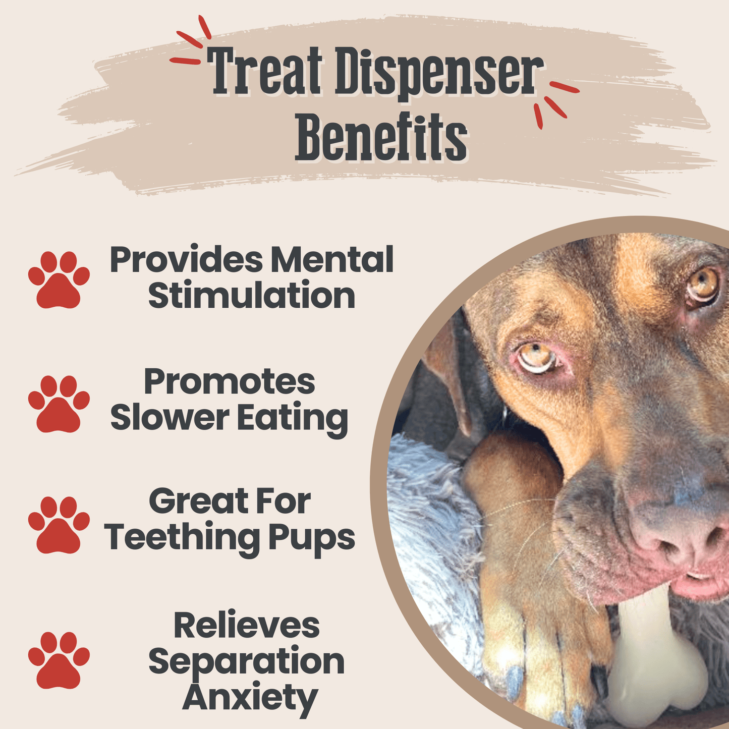 SodaPup Dog Treat Dispensers – Enrichment Feeder | Dishwasher Safe | Made in USA | 6 Styles