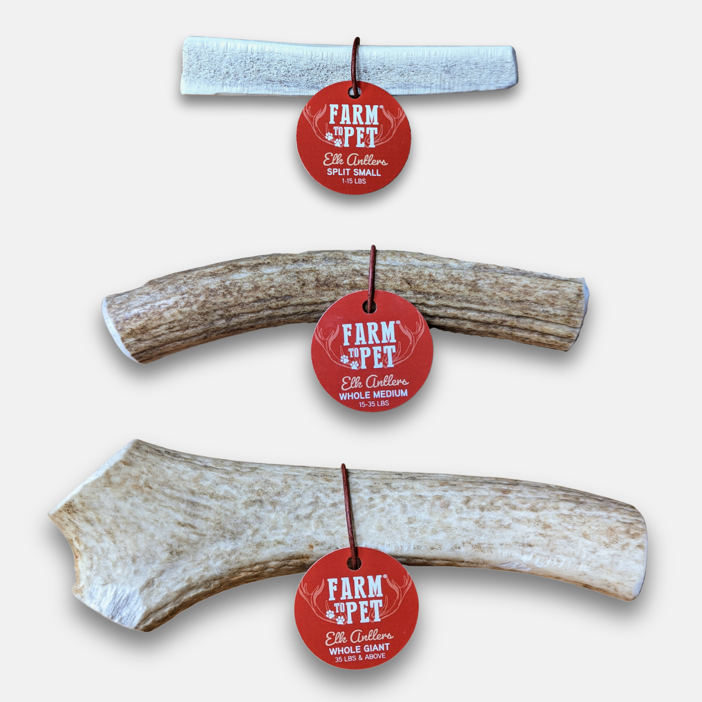 Elk Antler Dog Chews – Whole & Split | Splinter-Resistant, Non-Allergenic | Wild-Harvested Wyoming