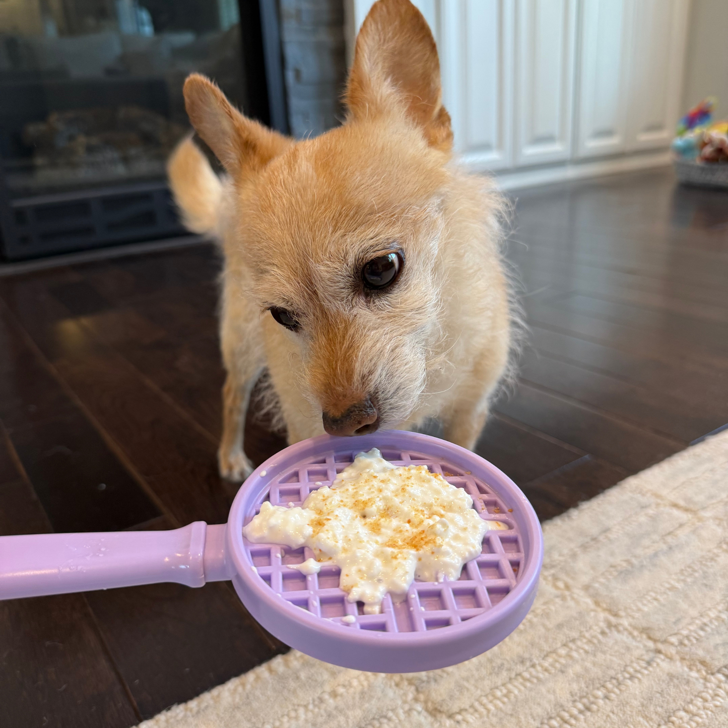 SodaPup Lick Sticks – Hand-Held Dog Enrichment & Training Toy | Dishwasher Safe | 4 Styles