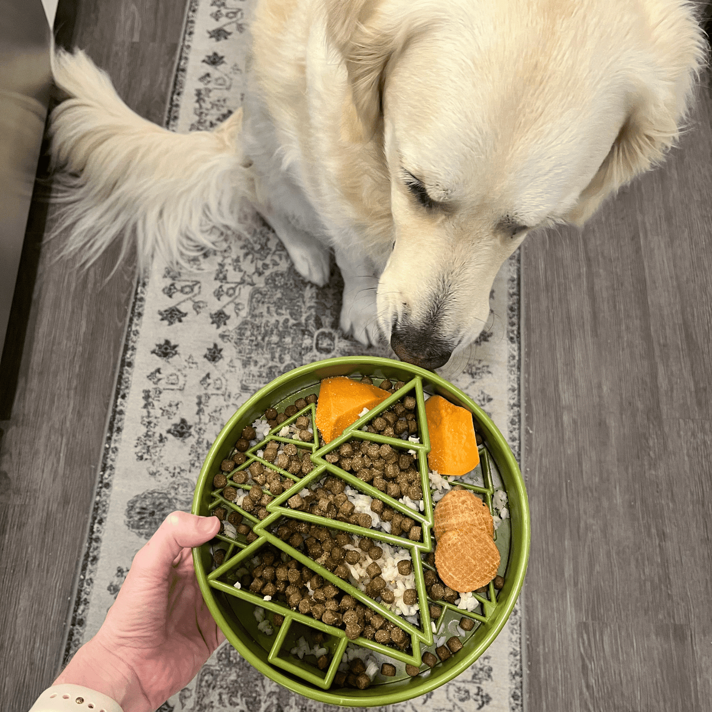 SodaPup Slow Feeder Dog Bowls – Reduces Bloat & Choking | Dishwasher Safe | Made in USA | 4 Styles