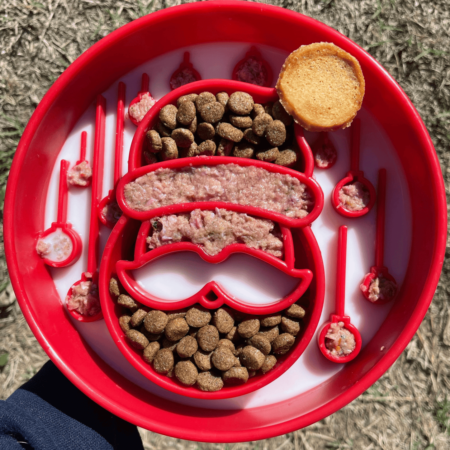 SodaPup Slow Feeder Dog Bowls – Reduces Bloat & Choking | Dishwasher Safe | Made in USA | 4 Styles